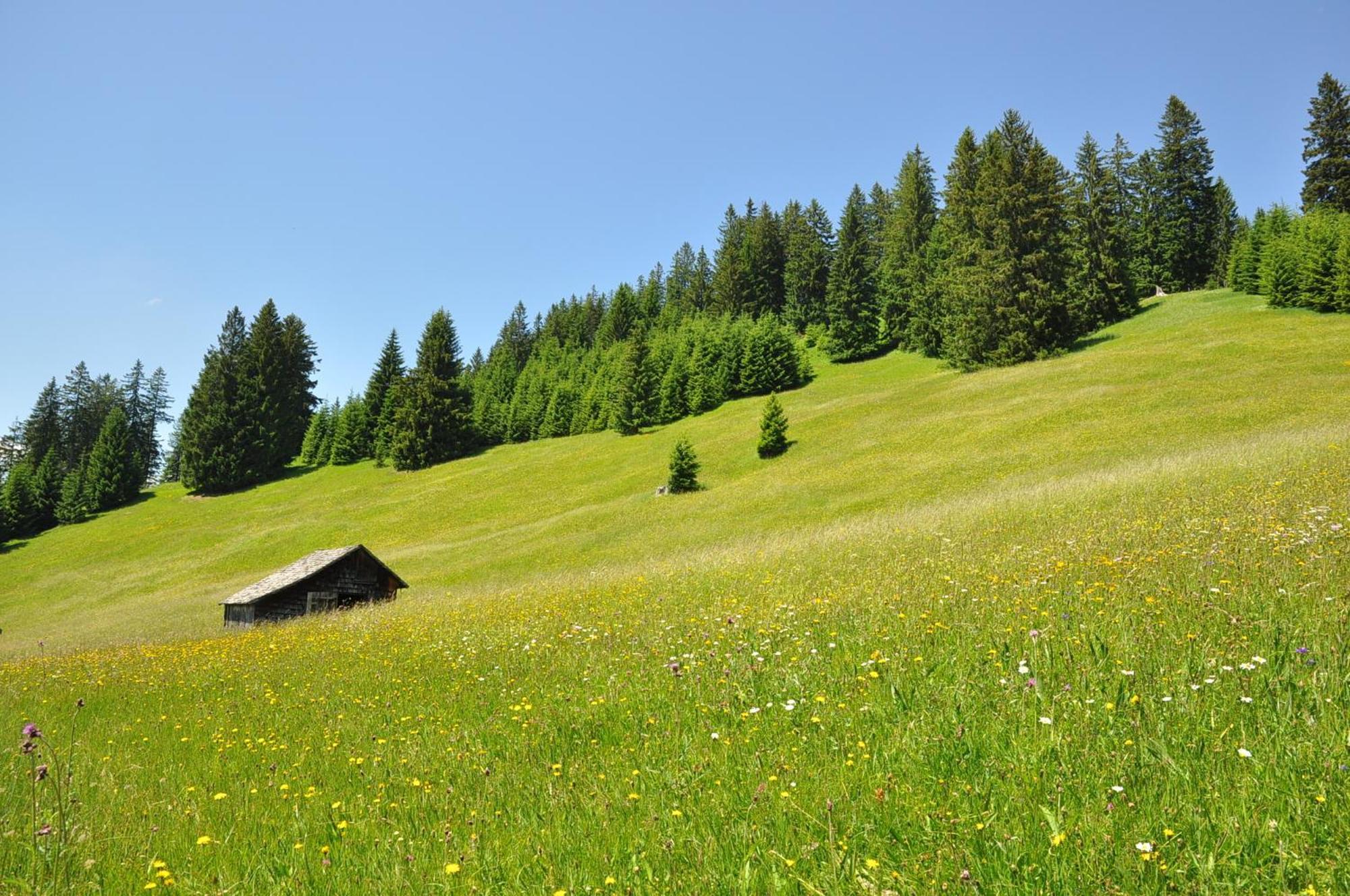 Landhaus Alpensonne Schattwald Exterior photo